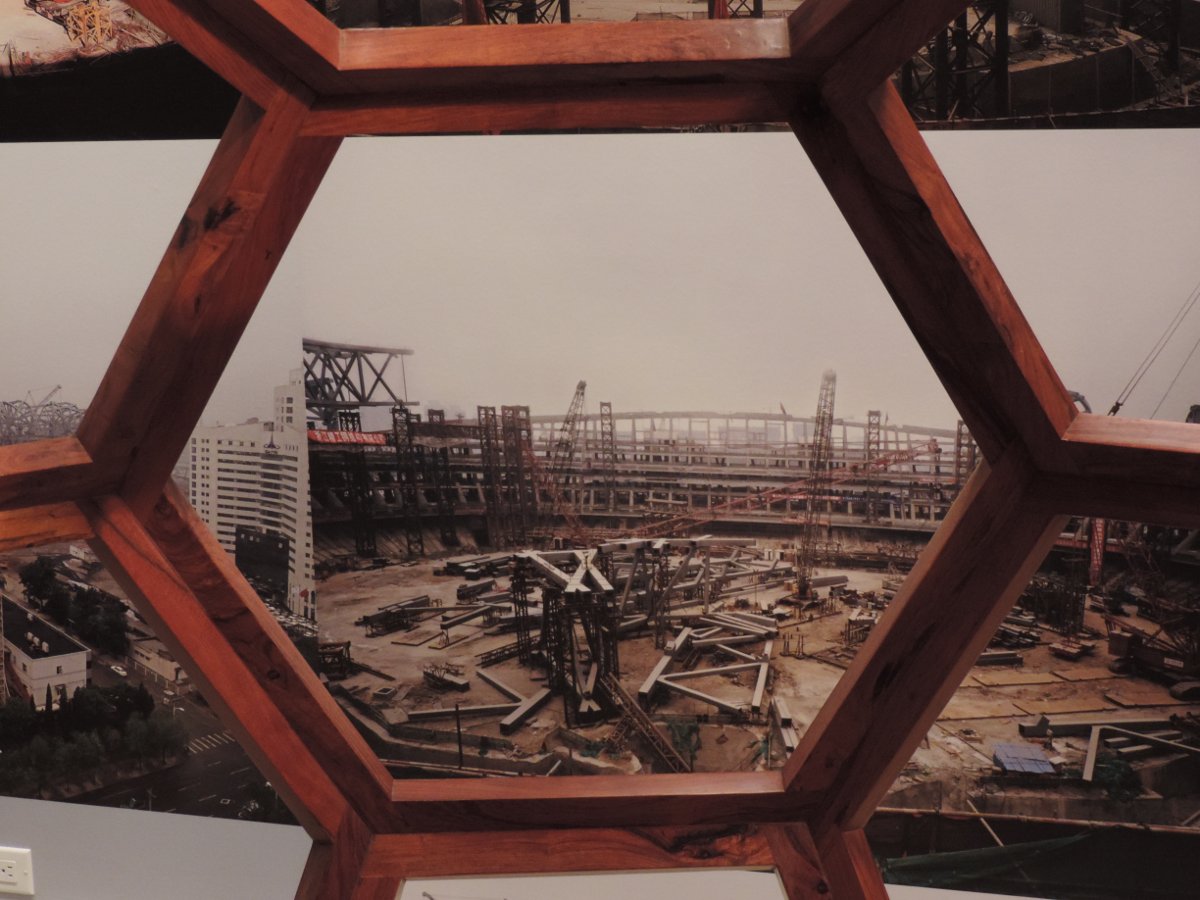 "Ai Weiwei at AGO," photo by Flickr user Alyx Dellamonica. https://www.flickr.com/photos/alyxdellamonica/