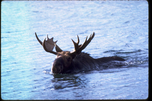 Photo of Isle Royale National Park. Source: National Park Service Digital Image Archives