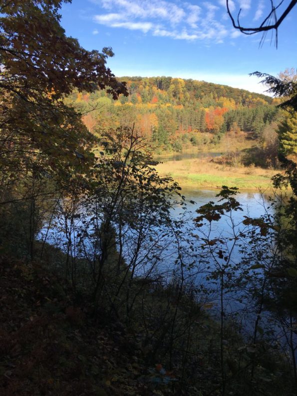 Michigan fall landscape