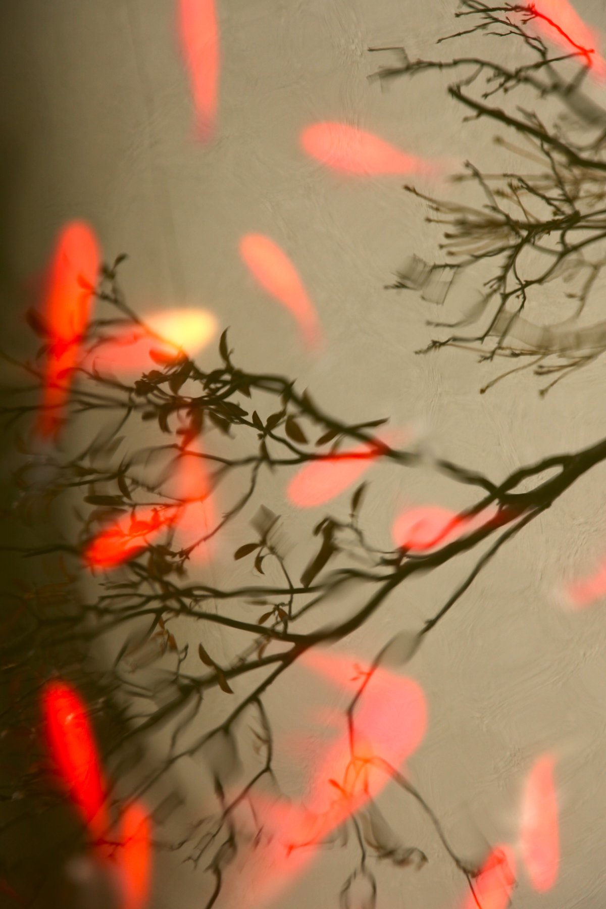 "Falling Leaves, Winter" | Author: torbakhopper http://flickr.com/photos/gazeronly