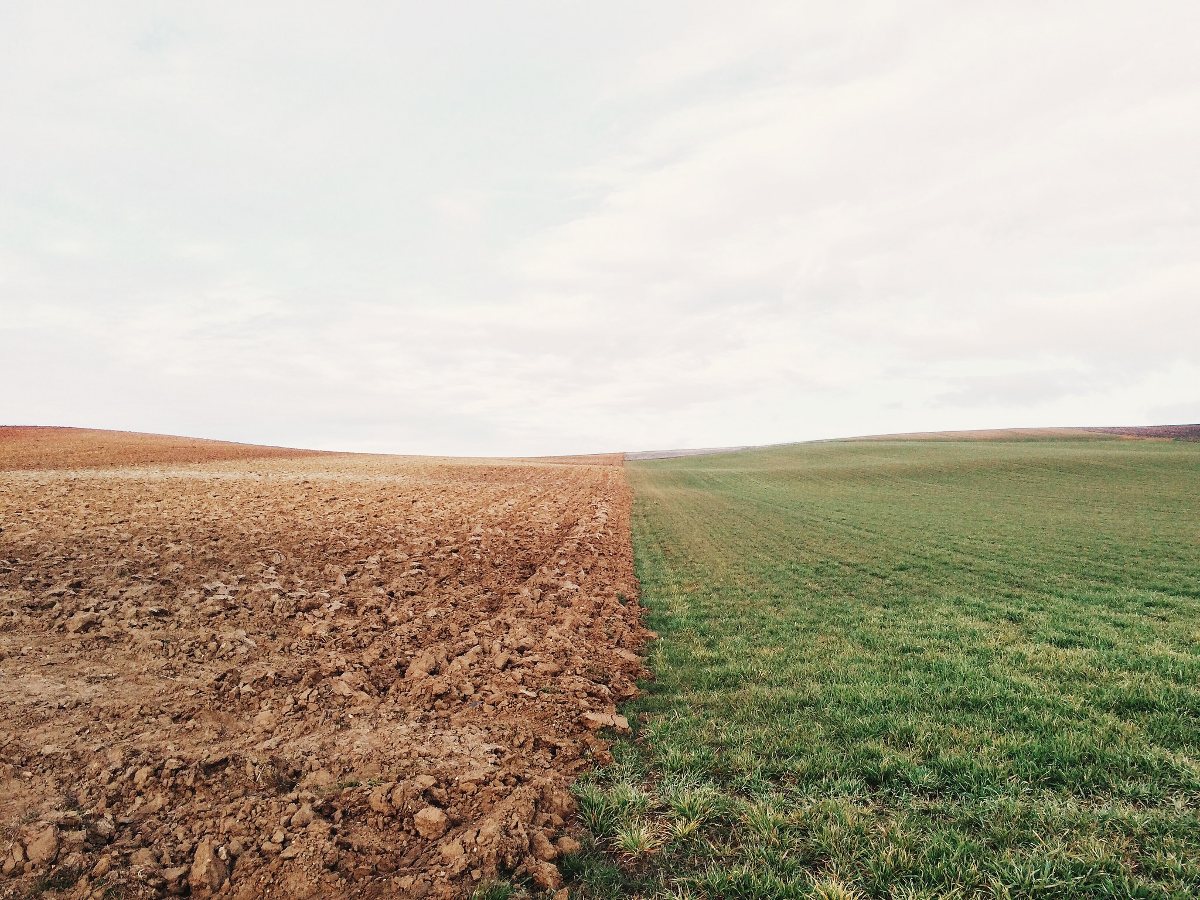 Photo of field in El Perdigon, Spain by Elizabeth Lies