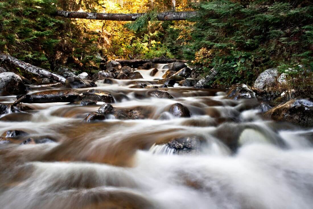 Title: Alona Bay Creek | Author: Billy Wilson | Source: billy_wilson on Flickr | License: CC BY-NC 2.0