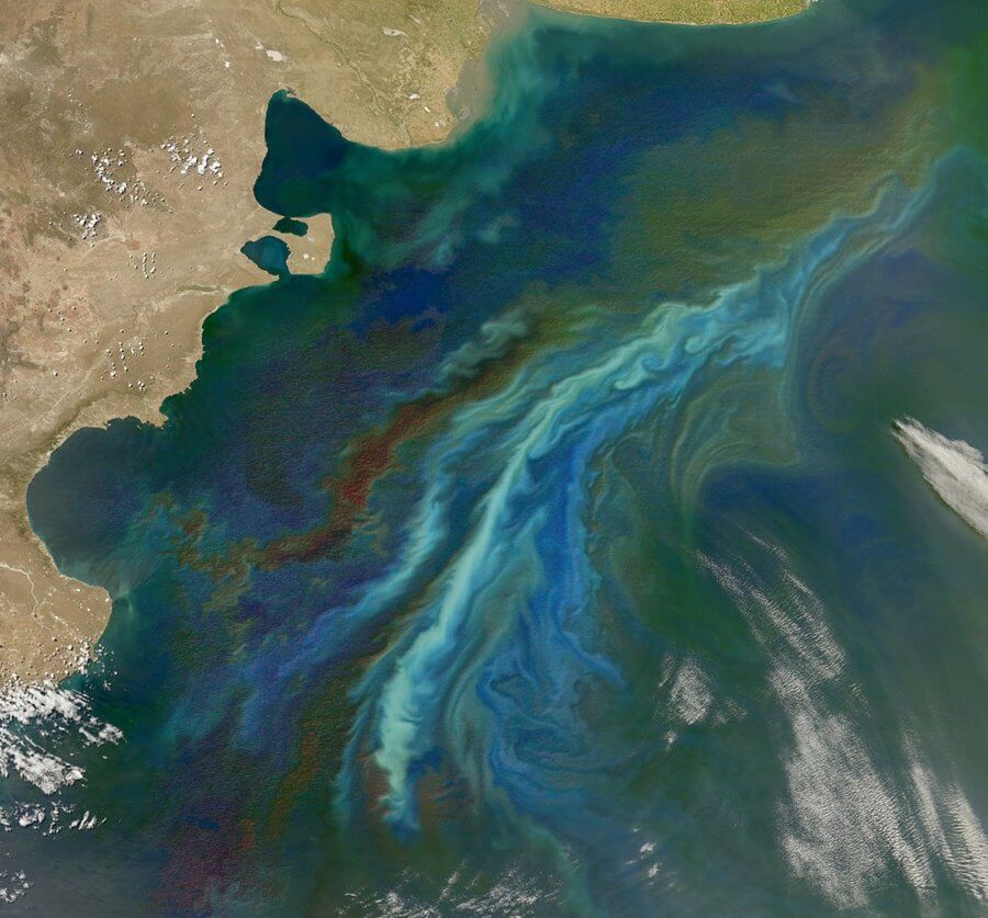 Title: Stirring Up a Bloom off Patagonia [Detail] | Author: NASA Goddard Space Flight Center | Source: gsfc on Flickr | License: CC BY 2.0