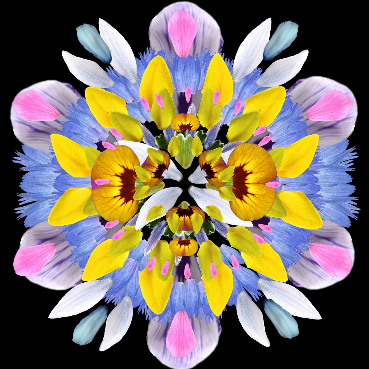 flower mandala