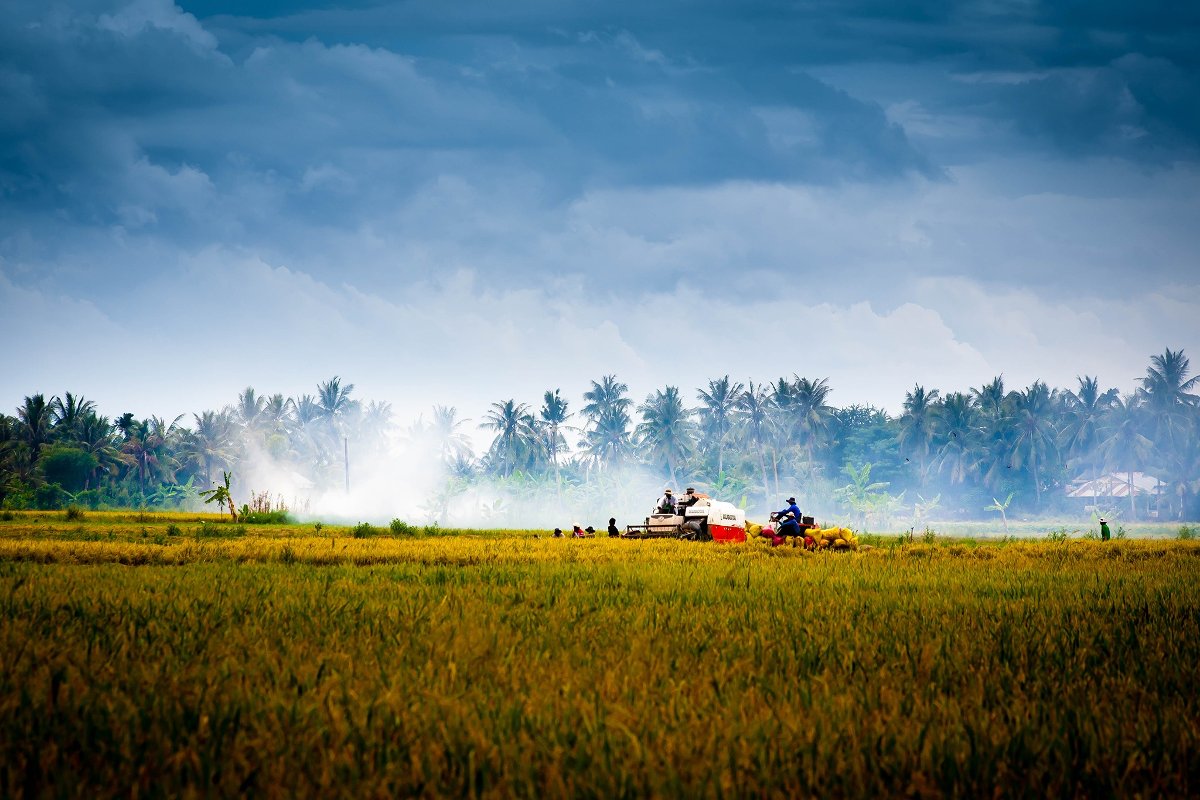 Untitled photo of Vietnam (License: CC0)