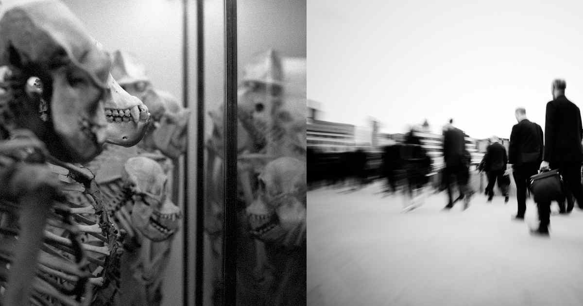 (Left: Apes | Author: tubb | Source: Own work | License: CC BY-NC-ND 2.0) (Right: Crowd of commuters going to work in London)