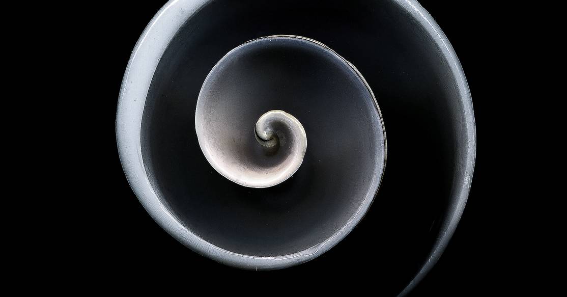 Untitled (spiral)