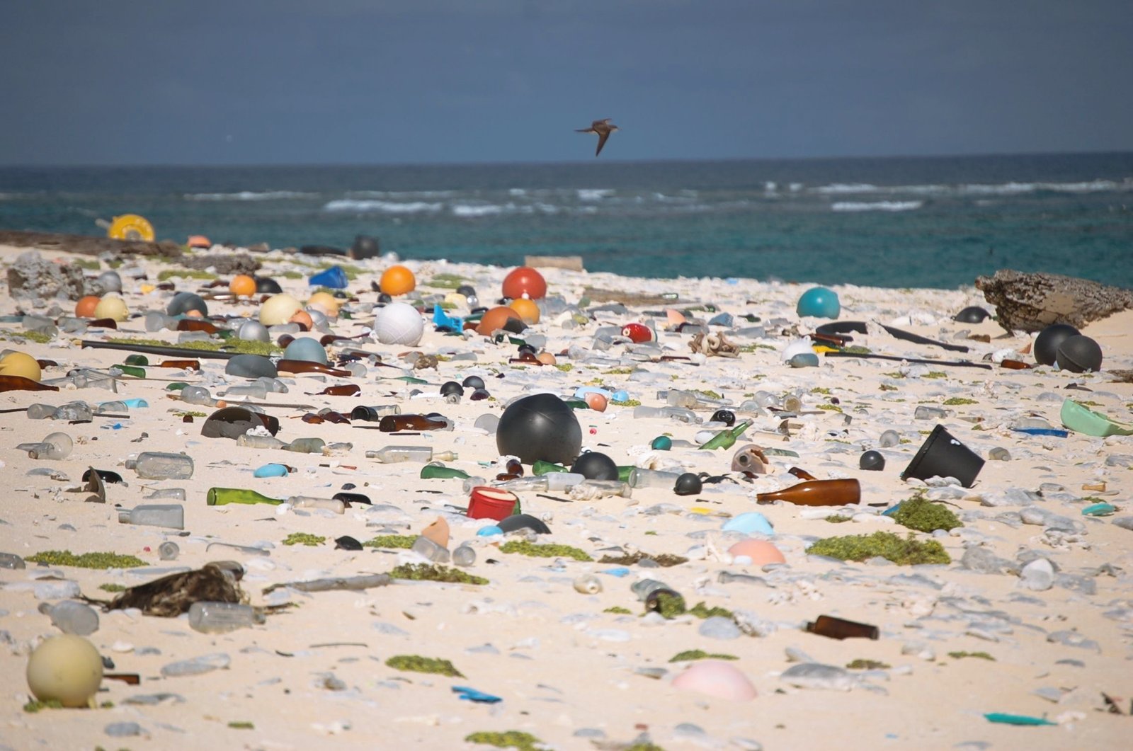 Title: Beach strewn with plastic debris | Author: U.S. Fish and Wildlife Service Headquarters | Source: U.S. Fish and Wildlife Service Headquarters | License: CC0
