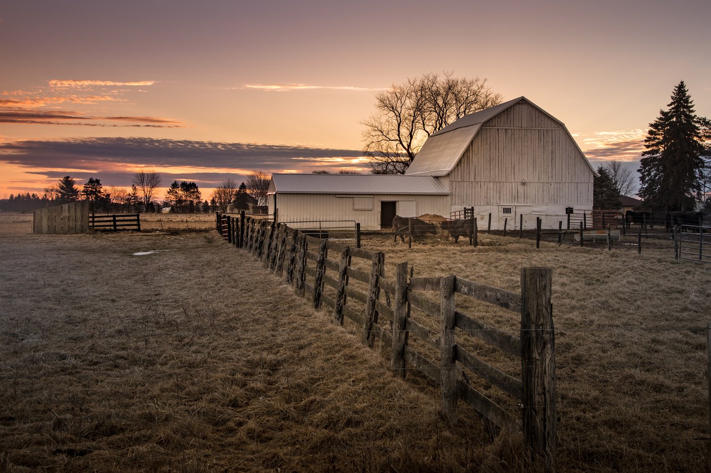 Title: farm scene | Author: Christian Collins | Source: Own Work | License: CC BY-SA 2.0
